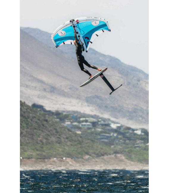 REEDIN SuperNatural LunarRock 2024