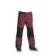 AIRBLASTER Zimné Nohavice Elastic Boss Pant Eggplant